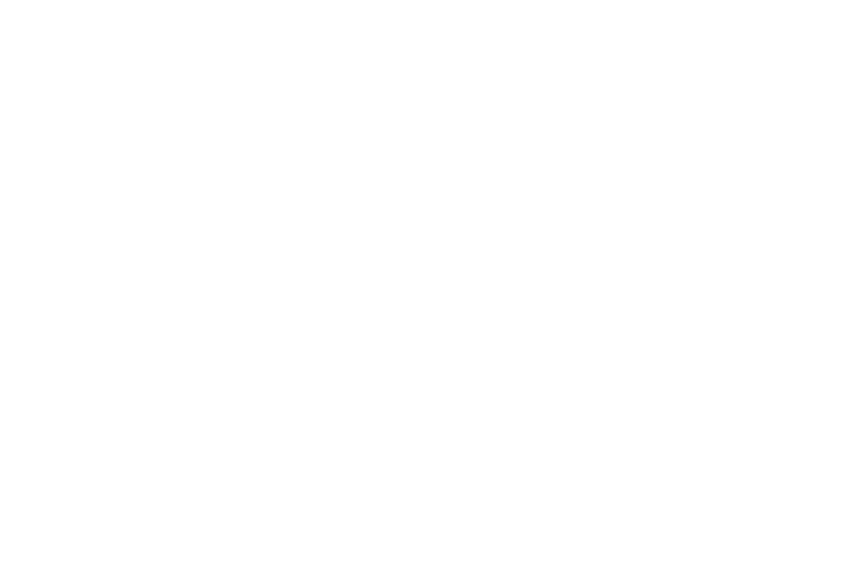 RAW SUN